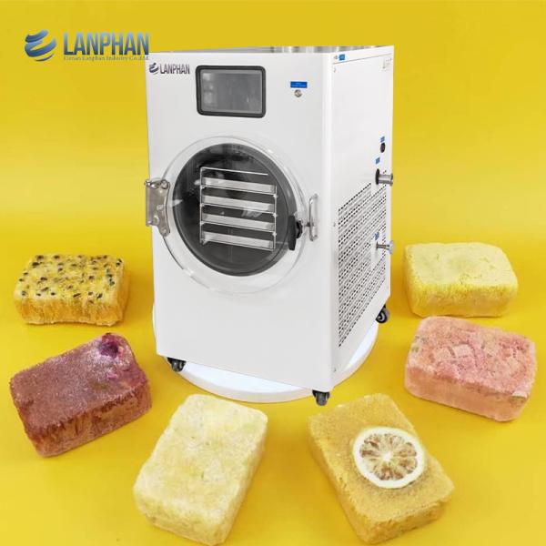 Home Freeze Dryer Freeze Dry Food Machine For Freeze-dried Instant Soup/tea