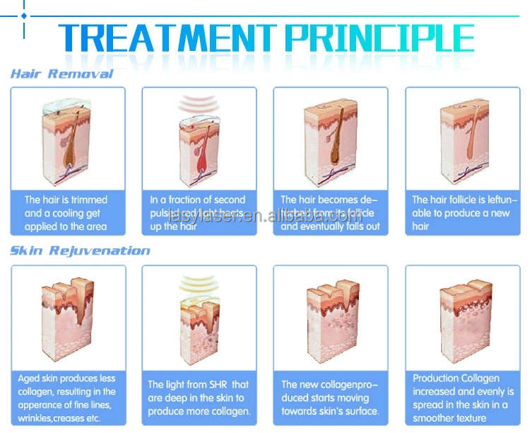 DEESS 3 In 1 Body Hair Removal Machine , Ice Cooling Skin Rejuvenation Laser Machine