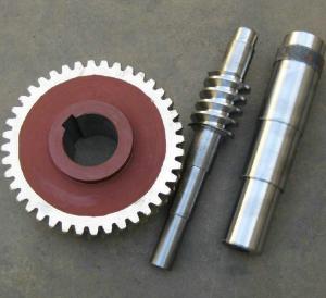 China Electrical Forging Worm Gear with OEM Service wholesale