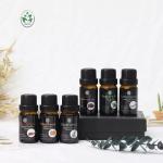 Health Care 10ml Cinnamon Aromatherapy Oil For Skin Care