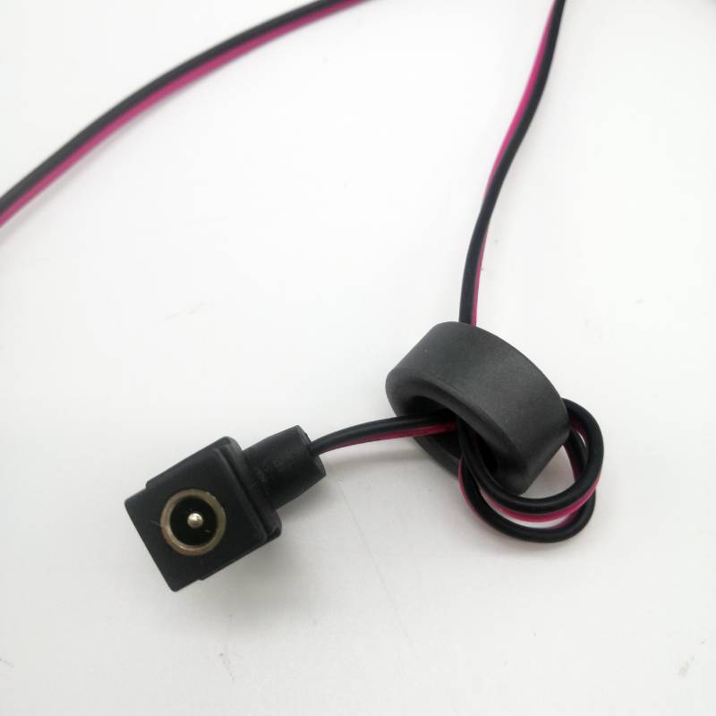 Black PVC Insulated OEM ODM Wire Harness with Ferrite Anti-interference Magnetic Ring DC 5.5*2.5mm