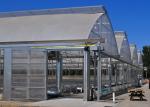 Tropical Area Vegetable Plastic Film Greenhouse For Hydroponic Growing