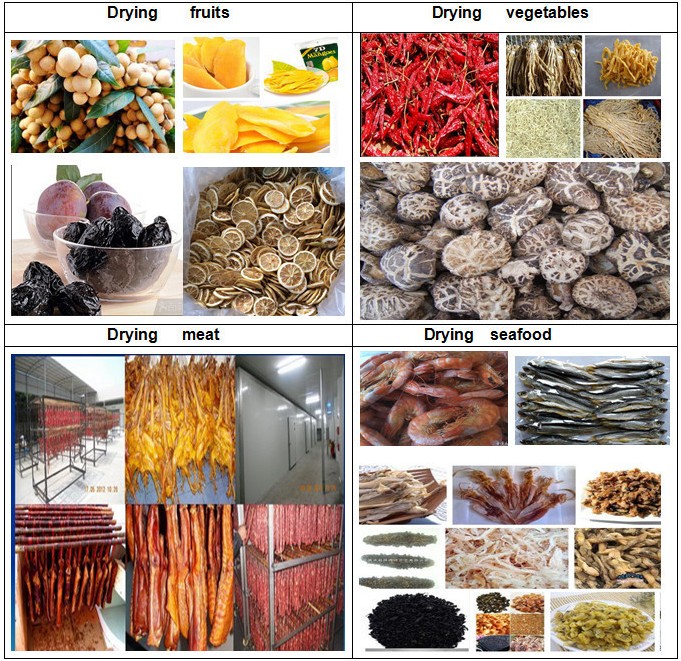 fruit dryer dehydrator materials1