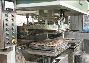 China TV Packaging Electronic 80kg/h Pulp Tray Machine wholesale