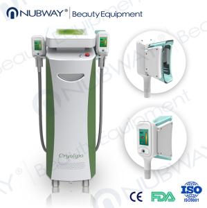 China 800W power fat removal Cryolipolysis Machine body slimming machine wholesale