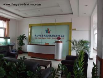 Guangdong Hongfa Import & Export Co., Ltd.