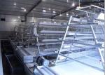 Q235 A Type Layer Chicken Cage