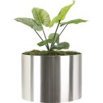 Decorative Polished Round Stainless Steel Flower Pots Dia 300-600mm