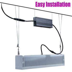 China Lm301b Greenhouse LED Grow Lights 110V Full Spectrum 600w LED Hydroponic Lights wholesale