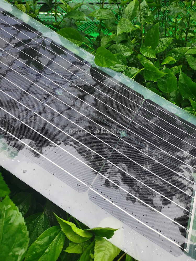30W 40W 50W 60W 80W Solar Panel PET Semi Transparent Solar Panel 1000V