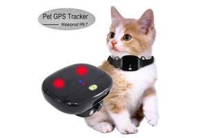 China Ariza Geo-Fence Wifi Pet Tracker , Real Time Gps Tracker For Dogs wholesale