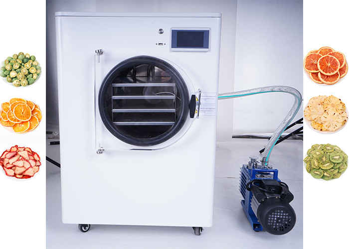Compact PLC Control Home Freeze Dryer Food Preservation Made Simple