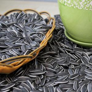 China Highly Nutritious Sunflower Seeds 3668 The Perfect Fit wholesale