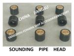 SOUNDING INJECTION HEAD, SOUNDING HEAD, TEMPERATURE MEASURING HEAD, SOUNDING