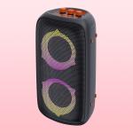 Immersive Bluetooth Outdoor Party Speaker With Microphone And Karaoke