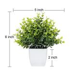 Eucalyptus Plant Small Potted Artificial Flowers Spring Grass Tower Custom