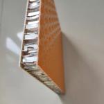 Antiskid FRP Honeycomb Sandwich Panel For Freight Car Floor