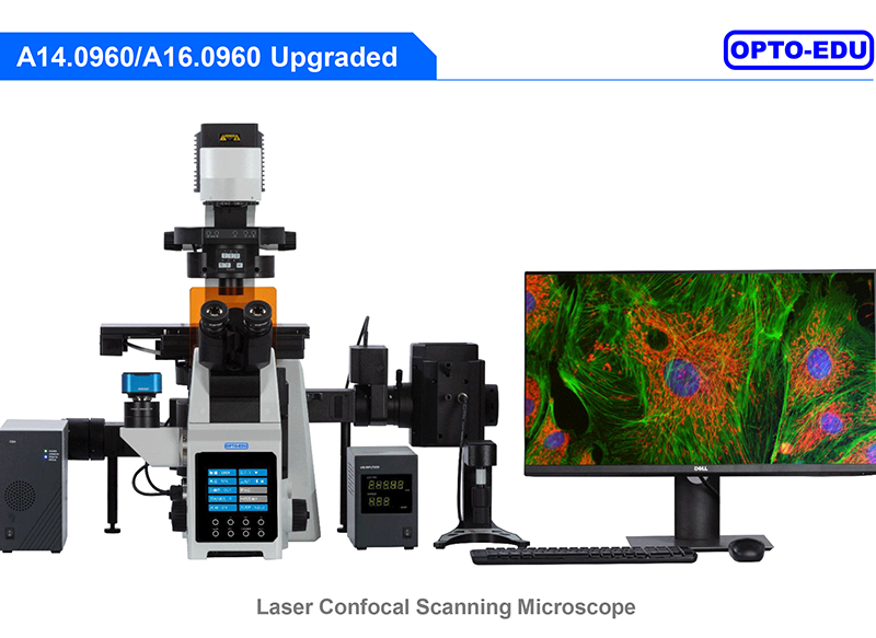 Opto Edu A16.0960 Research Level Inverted Fluorescent Microscope Motorized Nosepiece Condenser