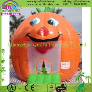 China Hot Sale Disney Park Theme Inflatable Bouncer Giant Inflatable wholesale