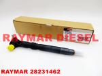 28231462 Delphi Common Rail Fuel Injector For Volkswagen