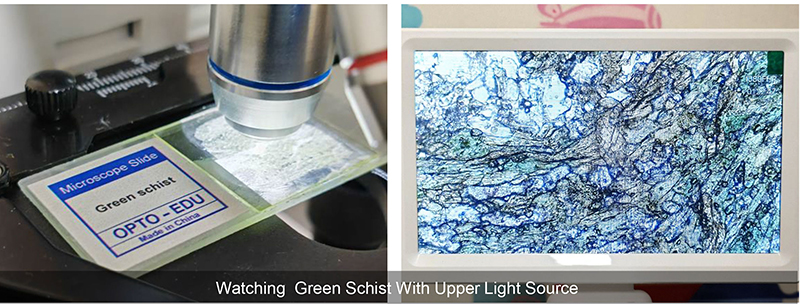 OPTO-EDU A33.5130 Digital Microscope with LED Lights Triple Nosepiece and 8MP Camera