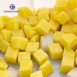 Multifunctional Vertical Bulb Vegetable Processing Machine Bamboo Shoots Cutter