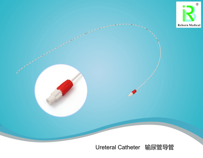 Nitinol Material Ureteral Catheter F3-F8 With CE Certificate