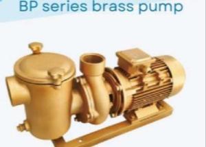 China BP30 Swimming Pool Water Pumps For Swimming Pool wholesale