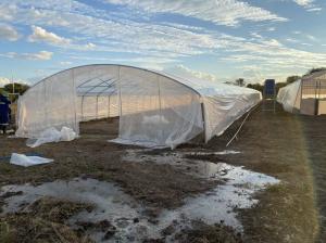 China Hot Dip Galvanized Polyethylene Film Greenhouse Agricultural Anti Drip wholesale