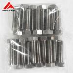 Corrosion Resistant DIN933 DIN934 Titanium Hex Bolt and Nut