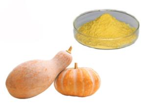 China Food Grade Fruit Concentrate Pumpkin Vegetable Extract Powder wholesale