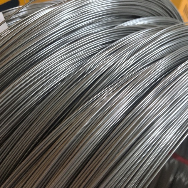 TOPONE Stainless Steel Straight Wire 302 0.25mmx30mm