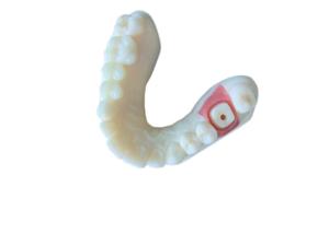 China High Stability PFM Zirconia Crown Tooth Stain Resistant For Research wholesale