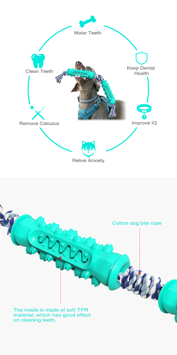 New Design Bone Shape Dog Double Serrated Grinding Rod Teeth Clean Chew And Dog Chew Treat