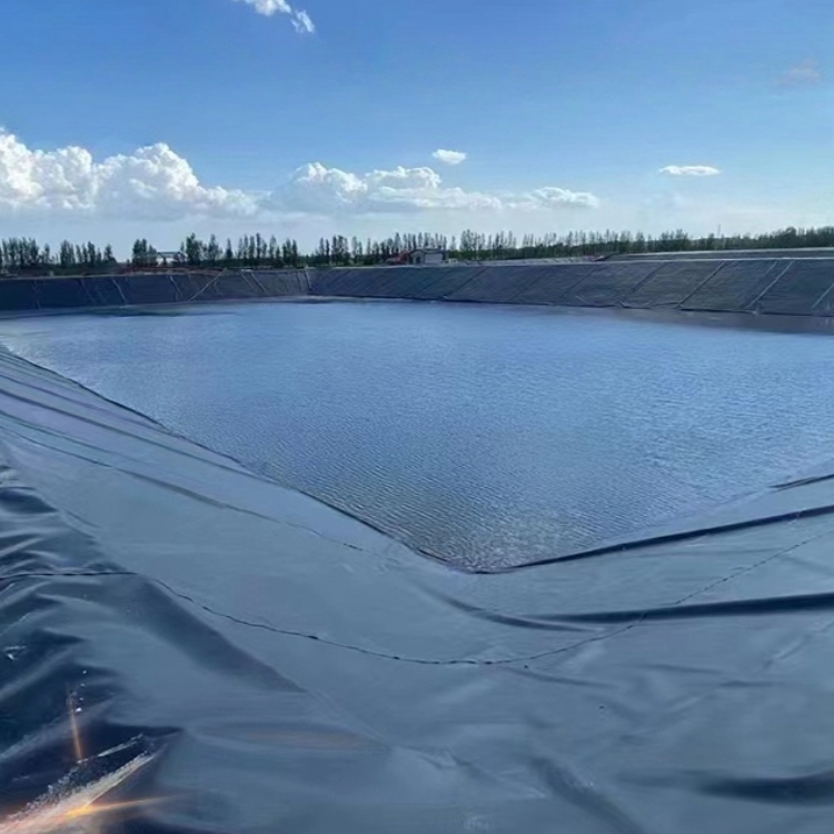 Smooth Geomembrane Fish Pond Lining Impermeable Membrane for Modern Design Directly