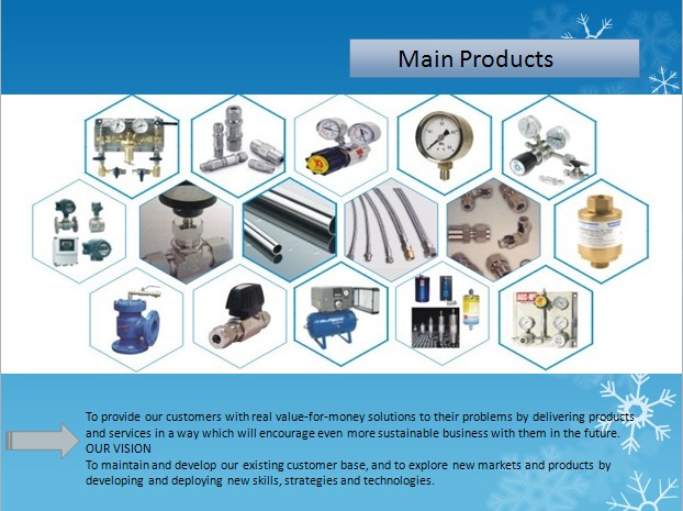 Liquid Stainless Steel Pressure Regulator Panel Mounting With Gauge Manometer