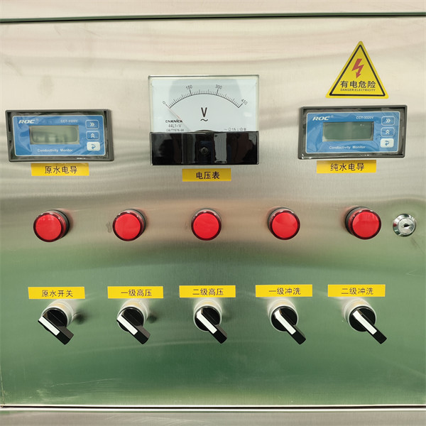 RO 1T/H Bipolar Purified Water Treatment Industrial Pure Water Machine