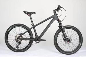 China 20er MTB Mountain Childrens Disc Brake Bikes Shimano 10 Speed wholesale