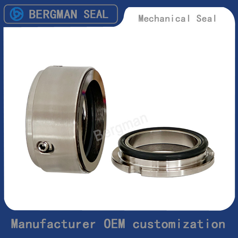 Bergman OEM W01 W02 W03 Rotor Pump Sanitary Pumps Food Pumps Seals Mechanical Seal