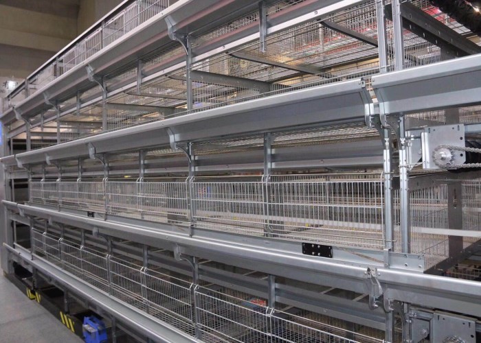 Industrial Battery Broiler Cage System Enriched Cages For Laying Hens