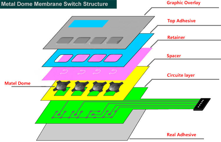 America designed item / ZS-31 / Embossed tactile colorized switch with a shielding circiuit