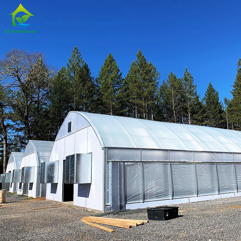 Plastic UV Resistant Film Agricultural Blackout Light Deprivation Greenhouse For Mushroom