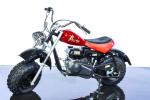 25MPH 6.5 Hp Dirt Bike