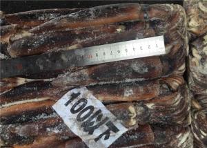 China 300g 400g BQF Whole Round A Grade Fresh Frozen Squid wholesale