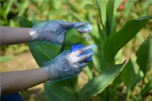 China Waterproof TPE Disposable Gloves For Food Processing wholesale