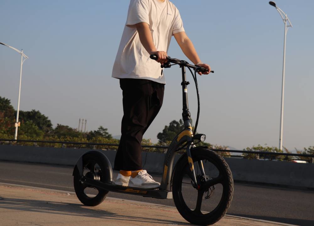 Two Wheel Stand Up Electric Scooter Cycle Seg Front 20In Rear 16In RICH BIT H100
