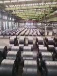 304 Bright Hot Rolled Stainless Steel Coil 201 3mm 1250mm