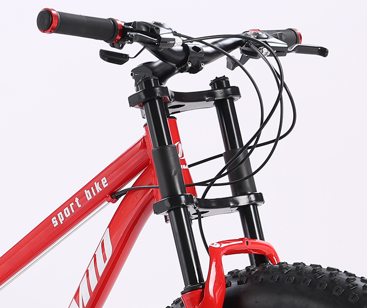 200kg Load Capacity Full Suspension Mountain Cycle Bicycle OEM Customizable Fat Tire Bike for Snow and Mountain Terrain