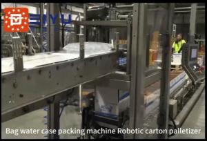 China Bag Water Robotic Packaging Machinery Carton Palletizer Bottle Case Packer wholesale