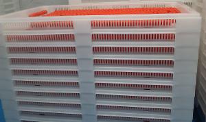 China Softgel Plastic Drying Trays wholesale